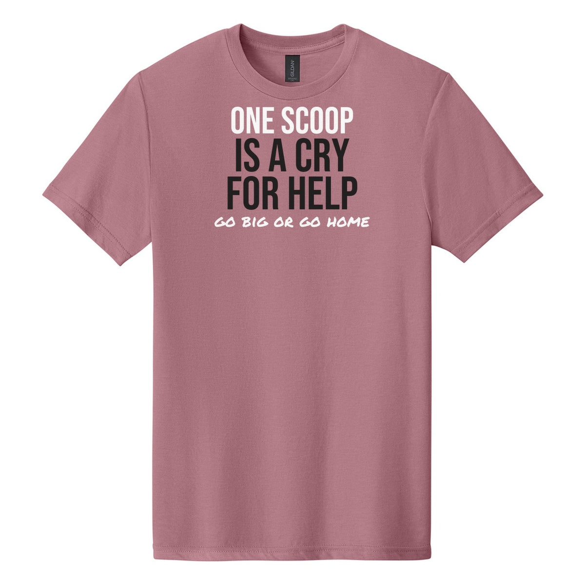 Sundae Is A Lifestyle tee on Gildan Softstyle CVC 64000CVC in Plumrose