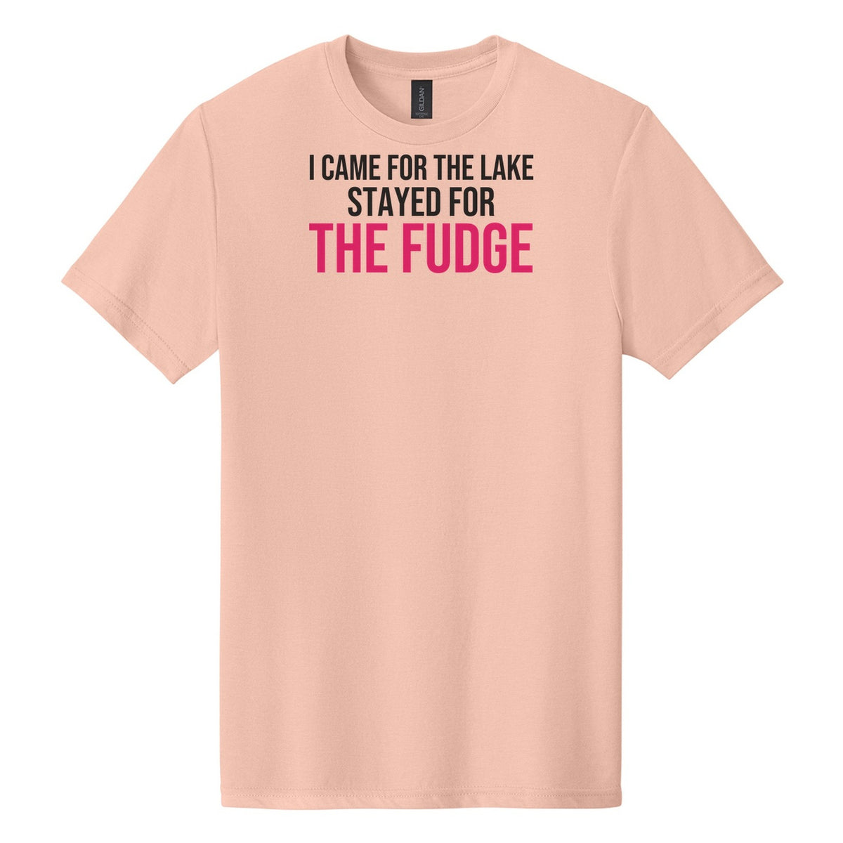 Stayed For The Fudge tee on Gildan Softstyle CVC 64000CVC in Dusty Rose
