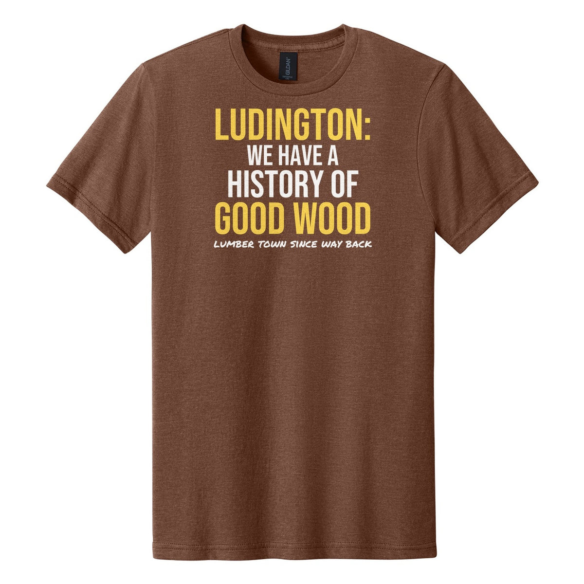 Ludington We Have A History Of Good Wood tee on Gildan Softstyle CVC 64000CVC in Cocoa Mist
