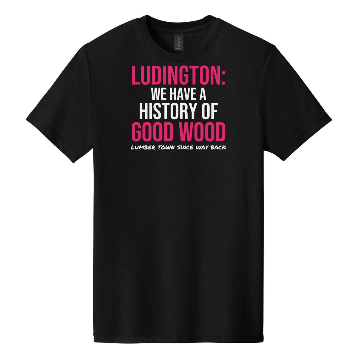 Ludington We Have A History Of Good Wood tee on Gildan Softstyle CVC 64000CVC in Pitch Black