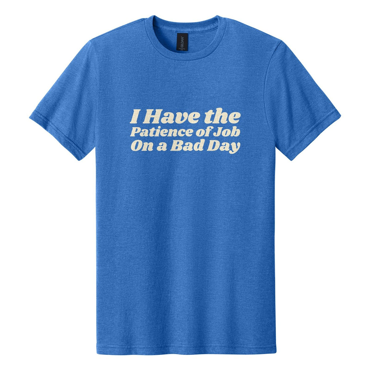 I Have the Patience of Job. On a Bad Day tee in Royal Mist, Shrikhand font, Cream ink