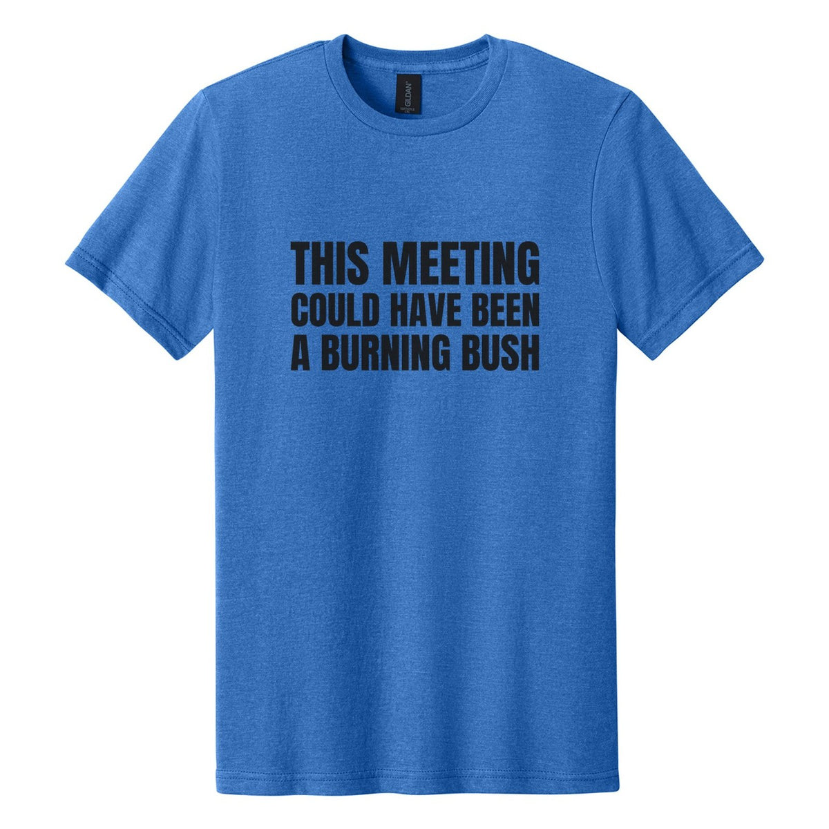 This Meeting Could Have Been a Burning Bush tee in Royal Mist, Anton font, Black ink