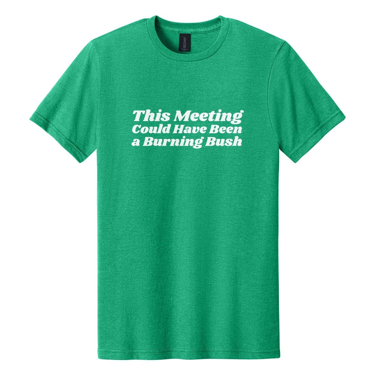 This Meeting Could Have Been a Burning Bush tee in Kelly Mist, Shrikhand font, White ink