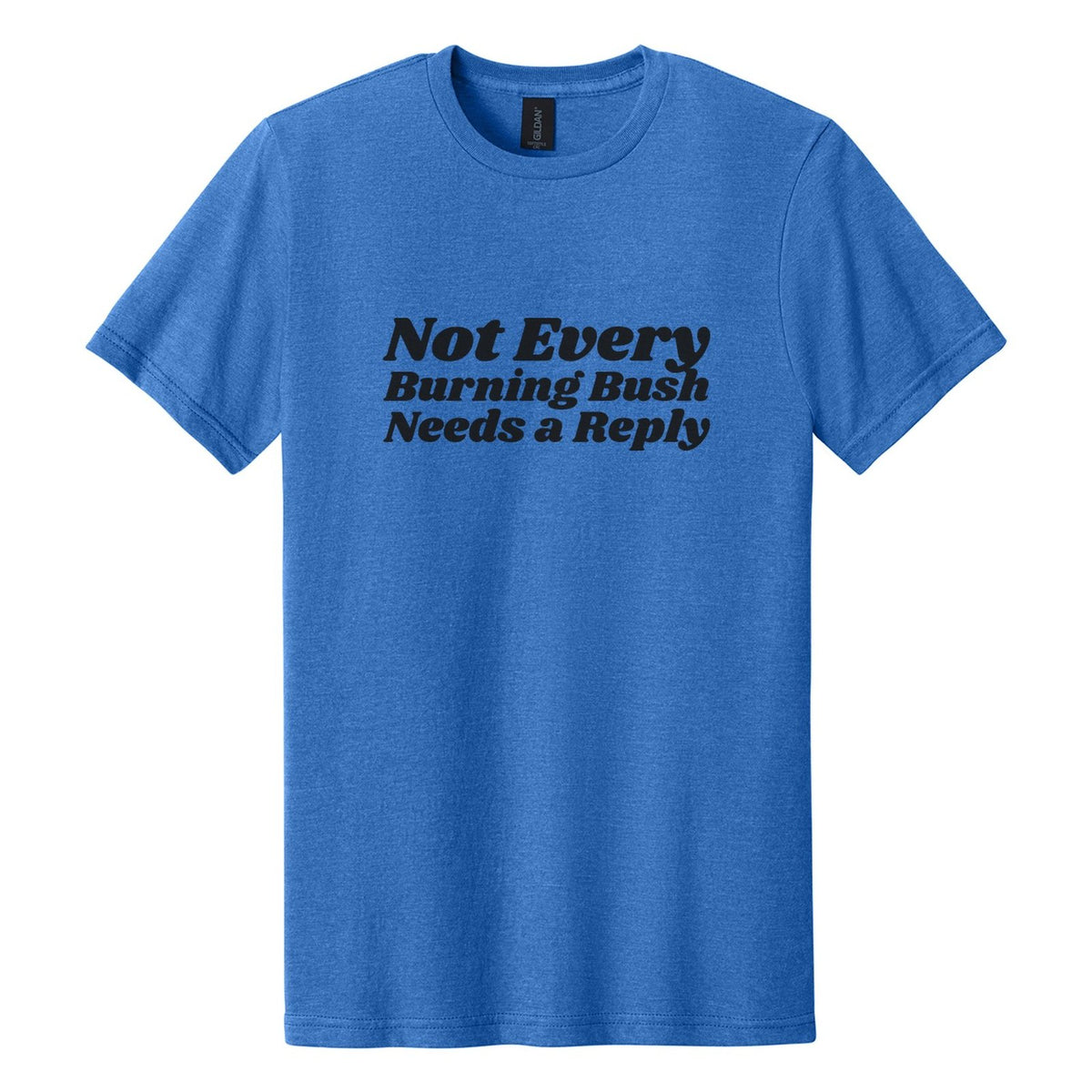 Not Every Burning Bush Needs a Reply tee in Royal Mist, Shrikhand font, Black ink