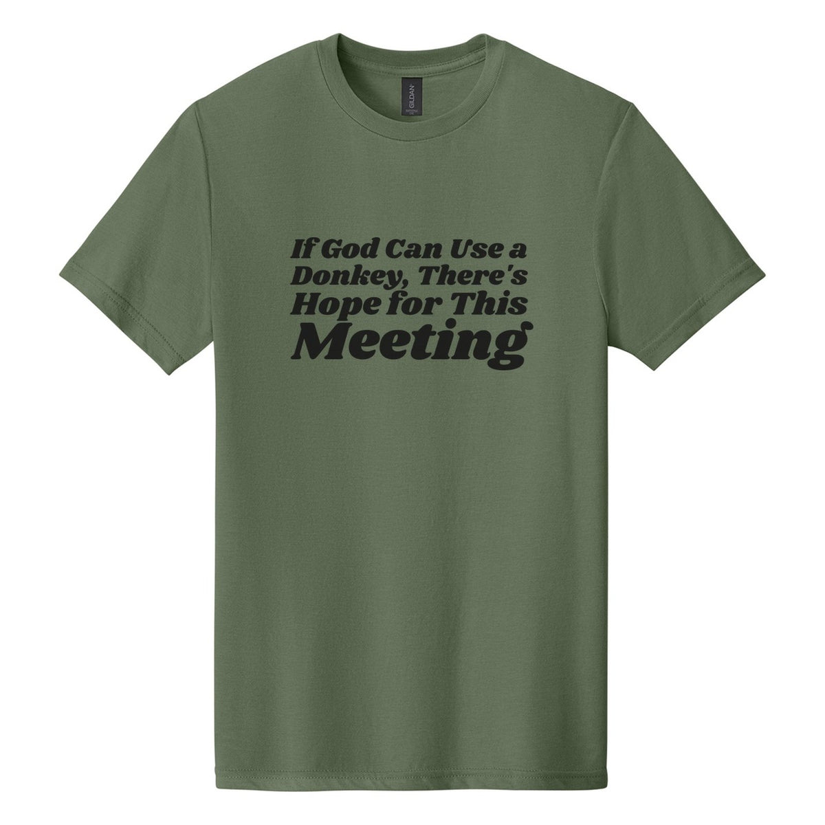 If God Can Use a Donkey, There's Hope for This Meeting tee in Cactus, Shrikhand font, Black ink