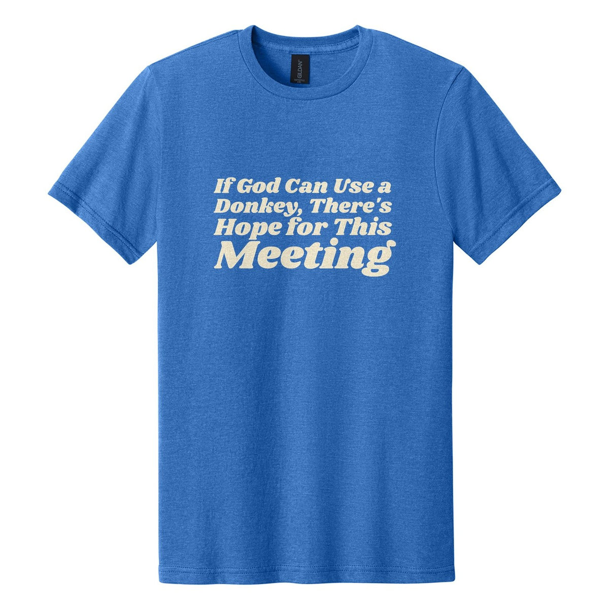 If God Can Use a Donkey, There's Hope for This Meeting tee in Royal Mist, Shrikhand font, Cream ink