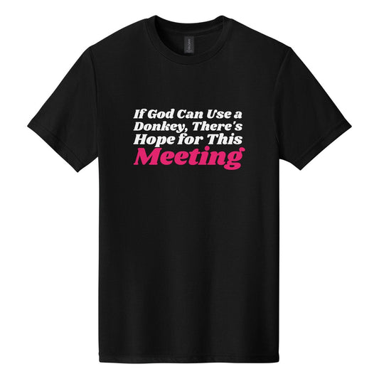 If God Can Use a Donkey, There's Hope for This Meeting tee in Pitch Black, Shrikhand font, White + Hot Pink ink