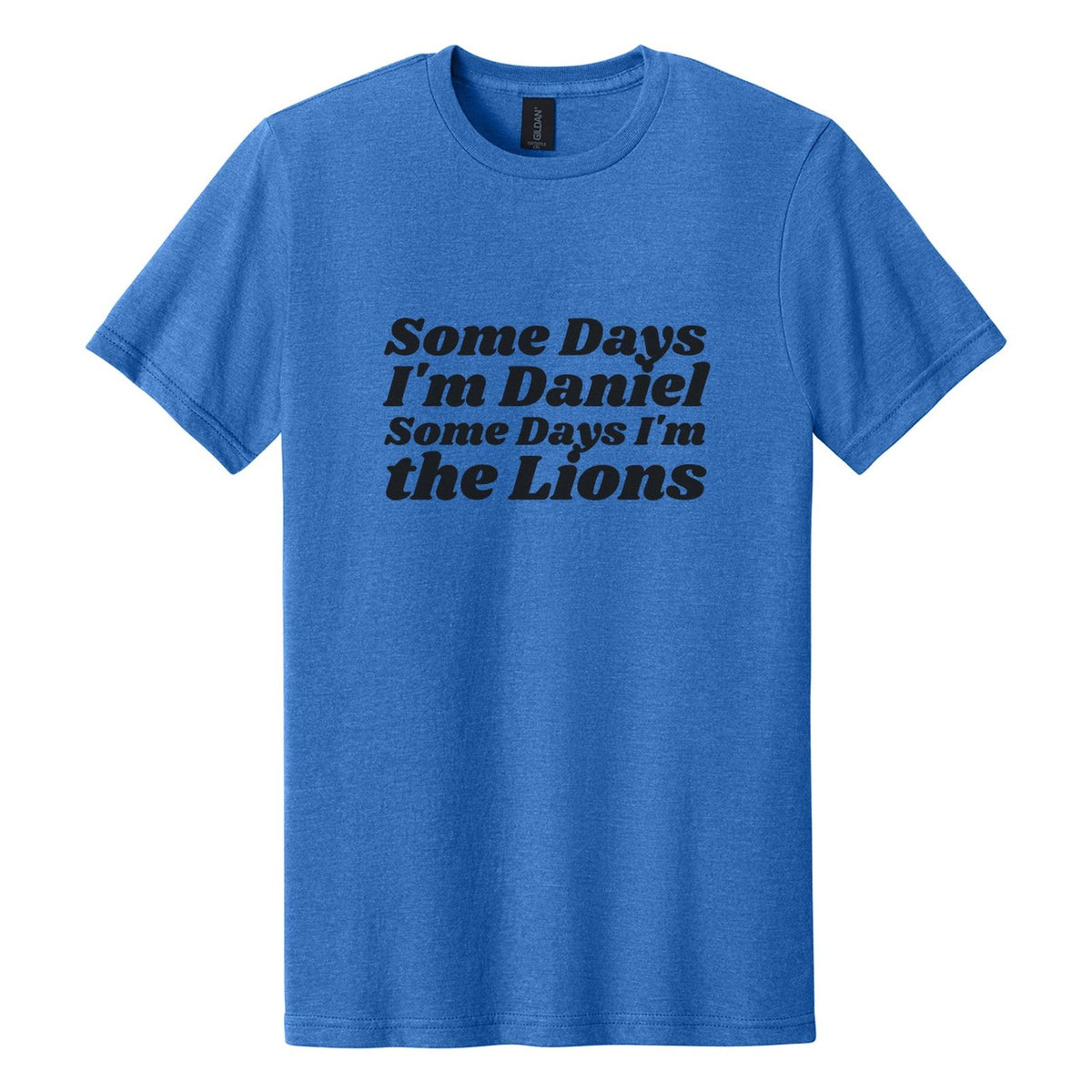 Some Days I'm Daniel. Some Days I'm the Lions tee in Royal Mist, Shrikhand font, Black ink