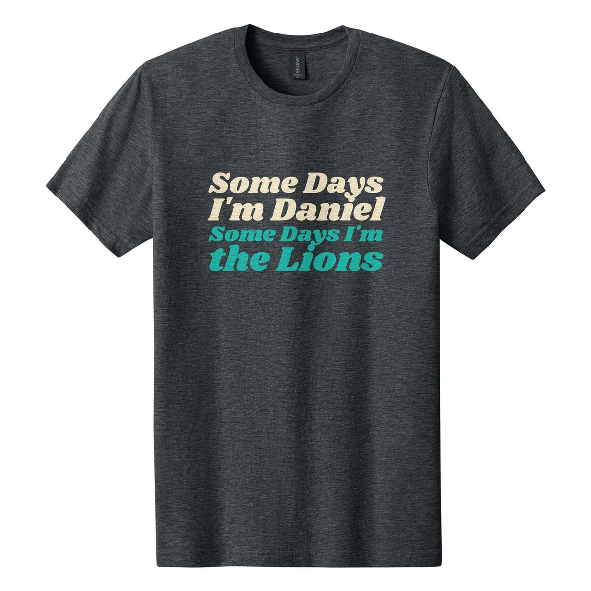 Some Days I'm Daniel. Some Days I'm the Lions tee in Dark Heather, Shrikhand font, Cream + Teal ink