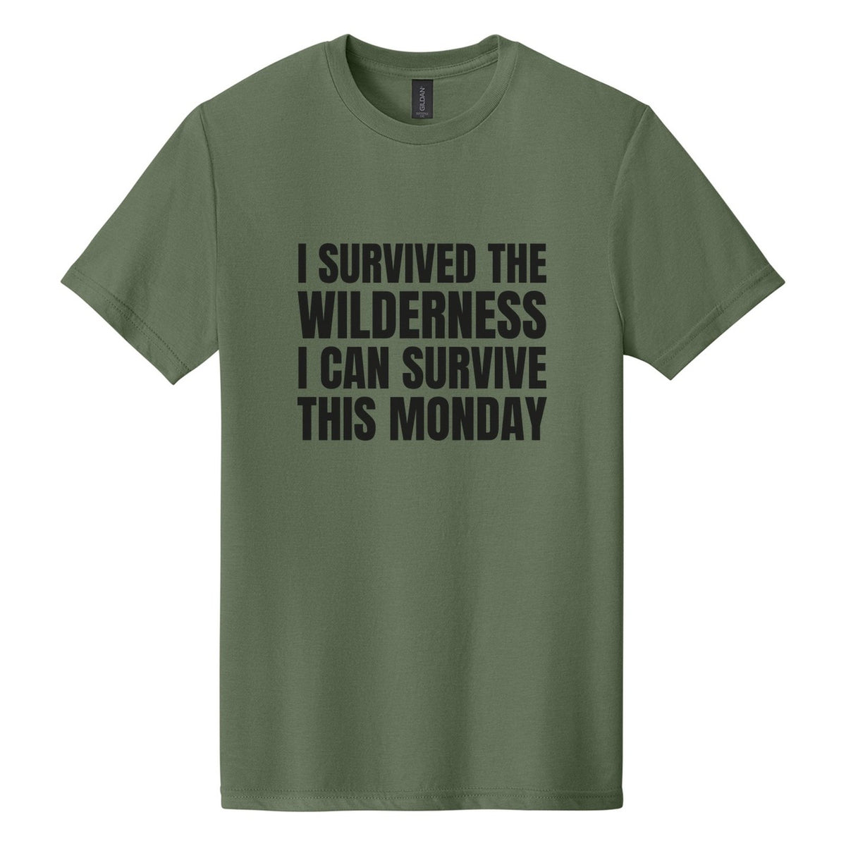 I Survived the Wilderness. I Can Survive This Monday tee in Cactus, Anton font, Black ink