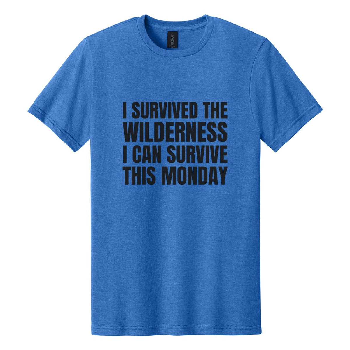 I Survived the Wilderness. I Can Survive This Monday tee in Royal Mist, Anton font, Black ink