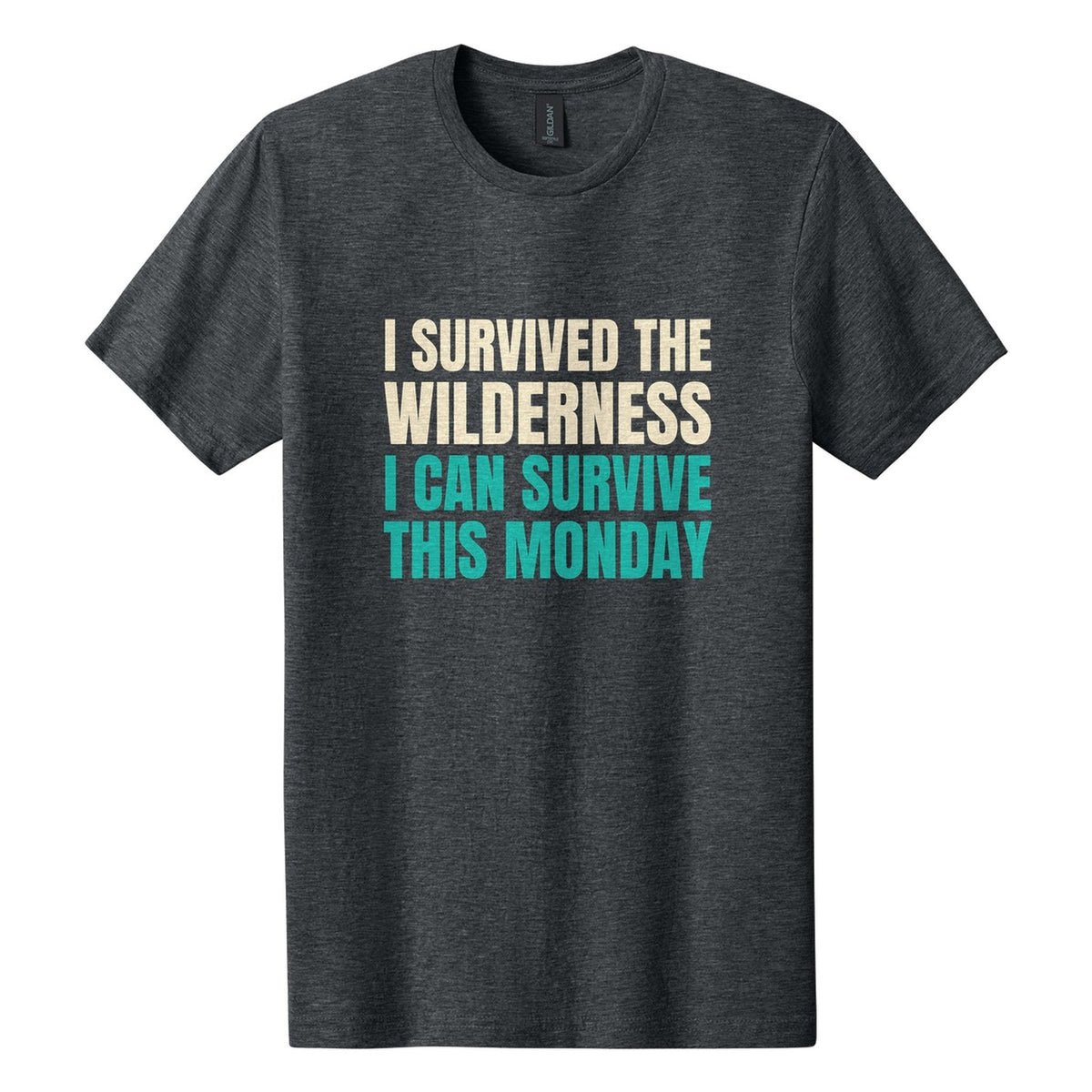 I Survived the Wilderness. I Can Survive This Monday tee in Dark Heather, Anton font, Cream + Teal ink