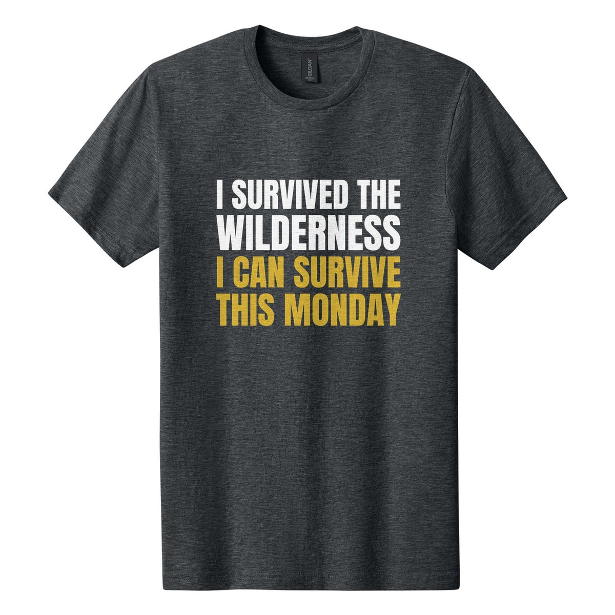 I Survived the Wilderness. I Can Survive This Monday tee in Dark Heather, Anton font, White + Metallic Gold ink