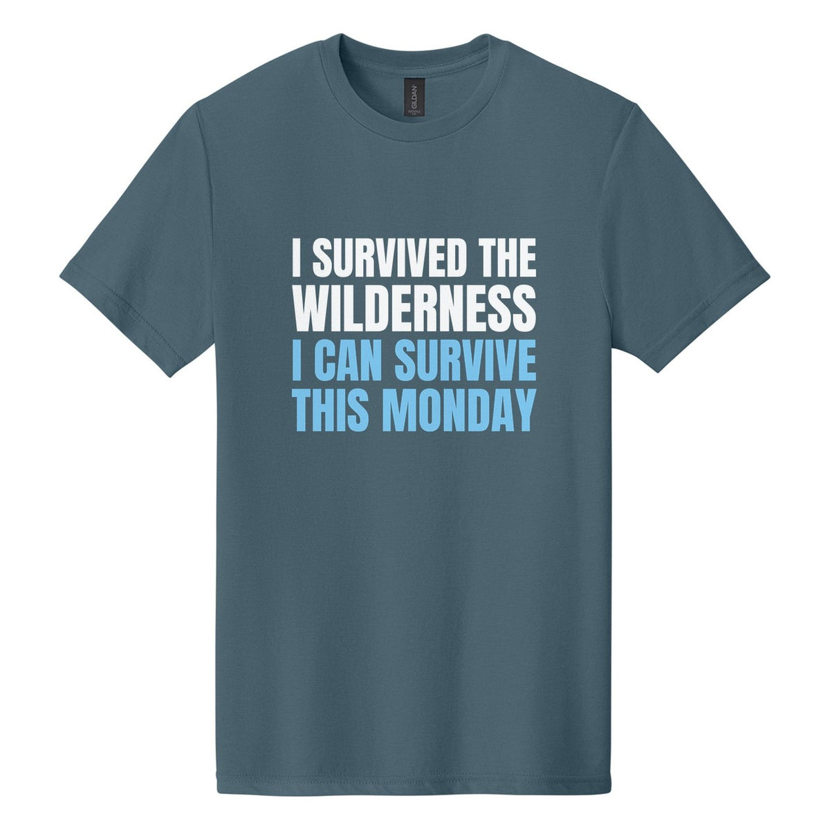 I Survived the Wilderness. I Can Survive This Monday tee in Steel Blue, Anton font, White + Sky Blue ink