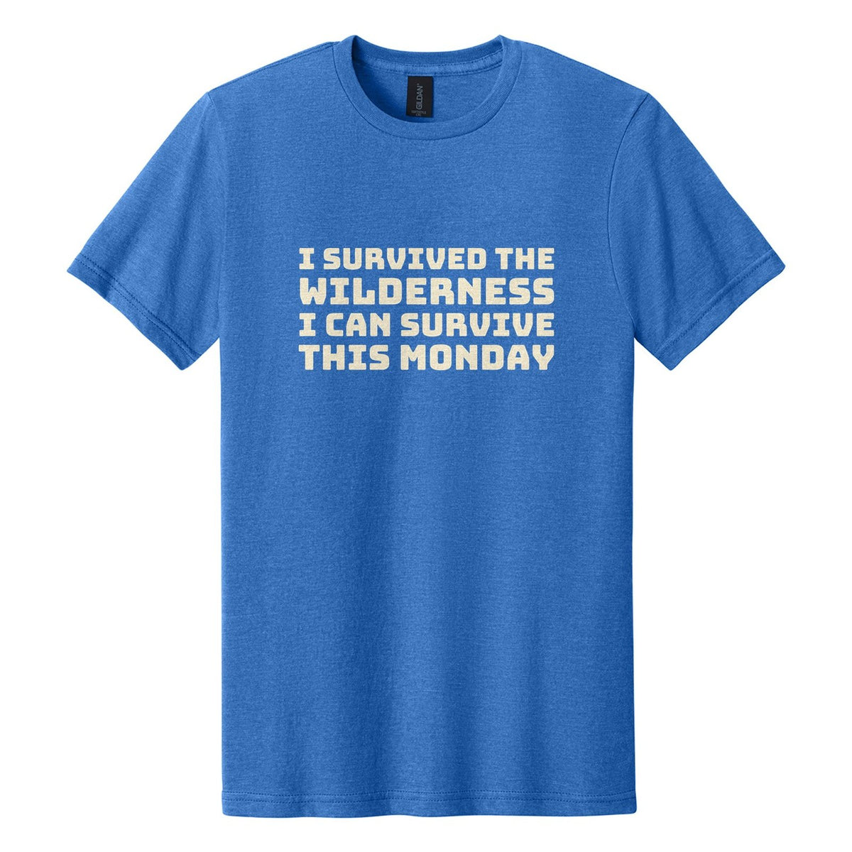 I Survived the Wilderness. I Can Survive This Monday tee in Royal Mist, Bungee font, Cream ink