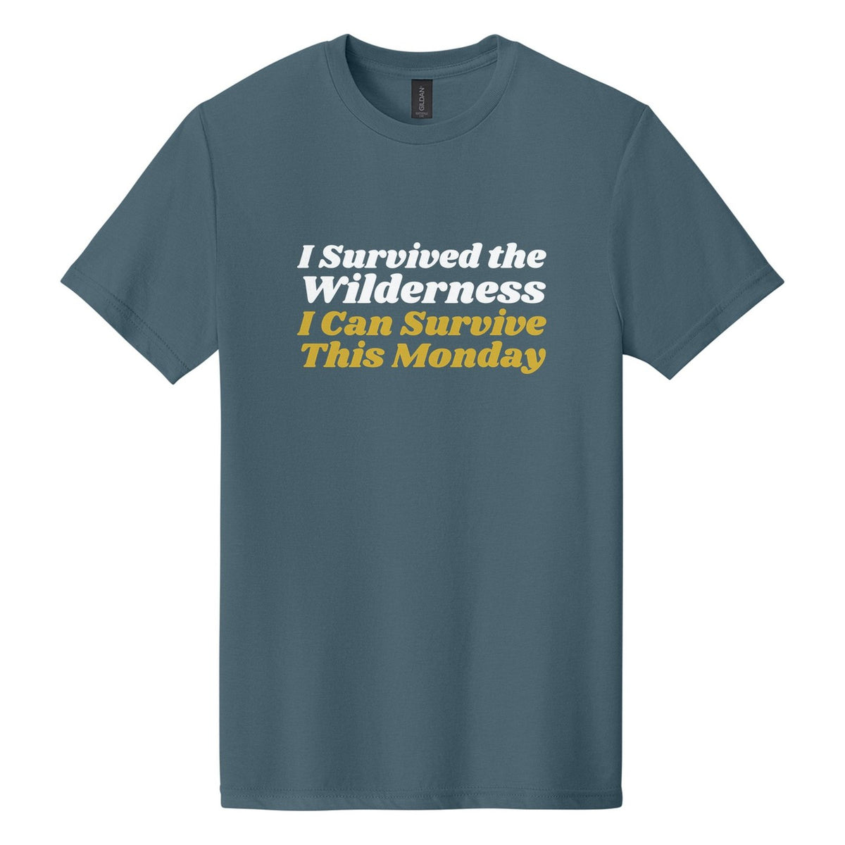 I Survived the Wilderness. I Can Survive This Monday tee in Steel Blue, Shrikhand font, White + Metallic Gold ink