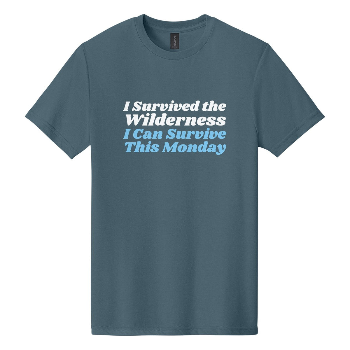 I Survived the Wilderness. I Can Survive This Monday tee in Steel Blue, Shrikhand font, White + Sky Blue ink