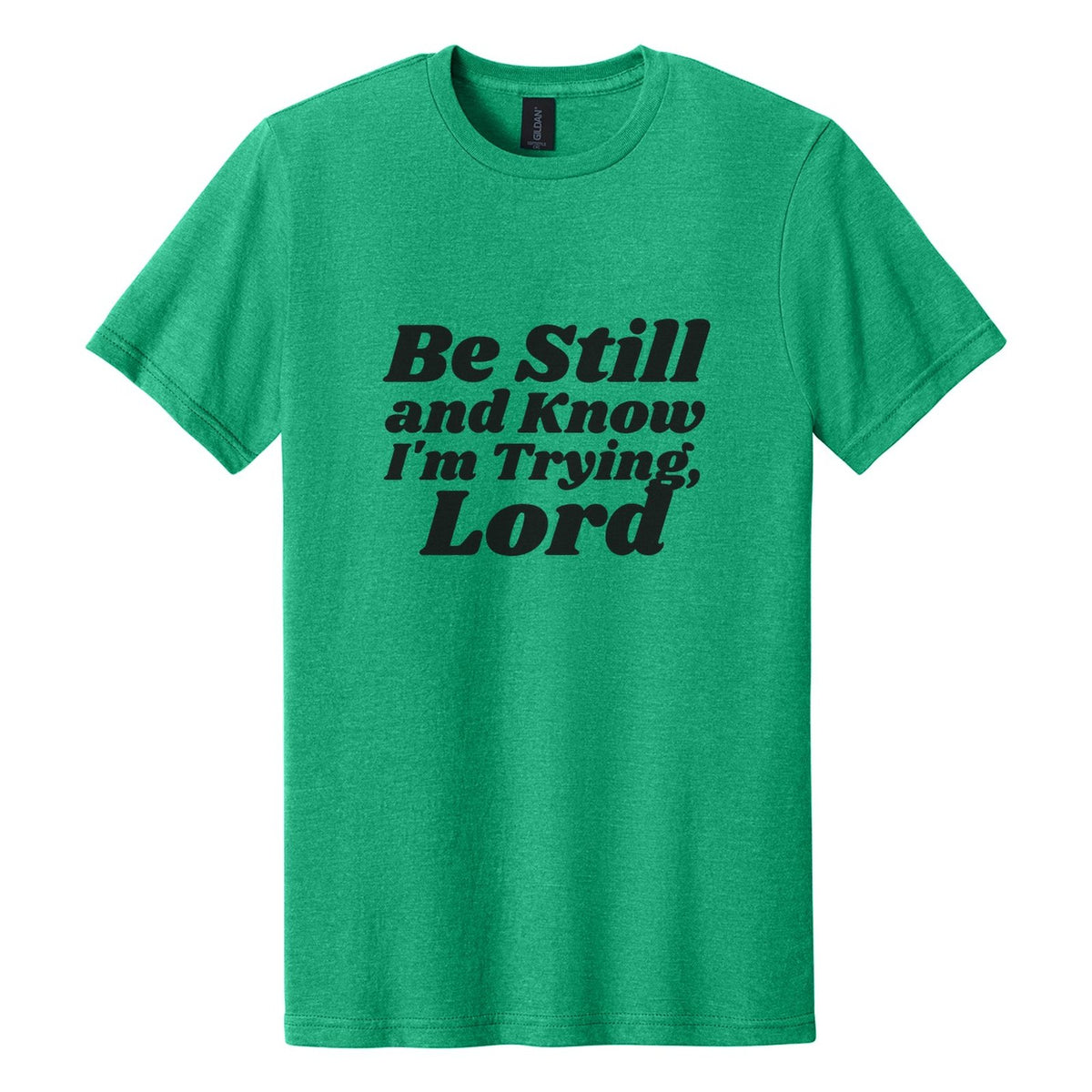 Be Still and Know. I'm Trying, Lord tee in Kelly Mist, Shrikhand font, Black ink