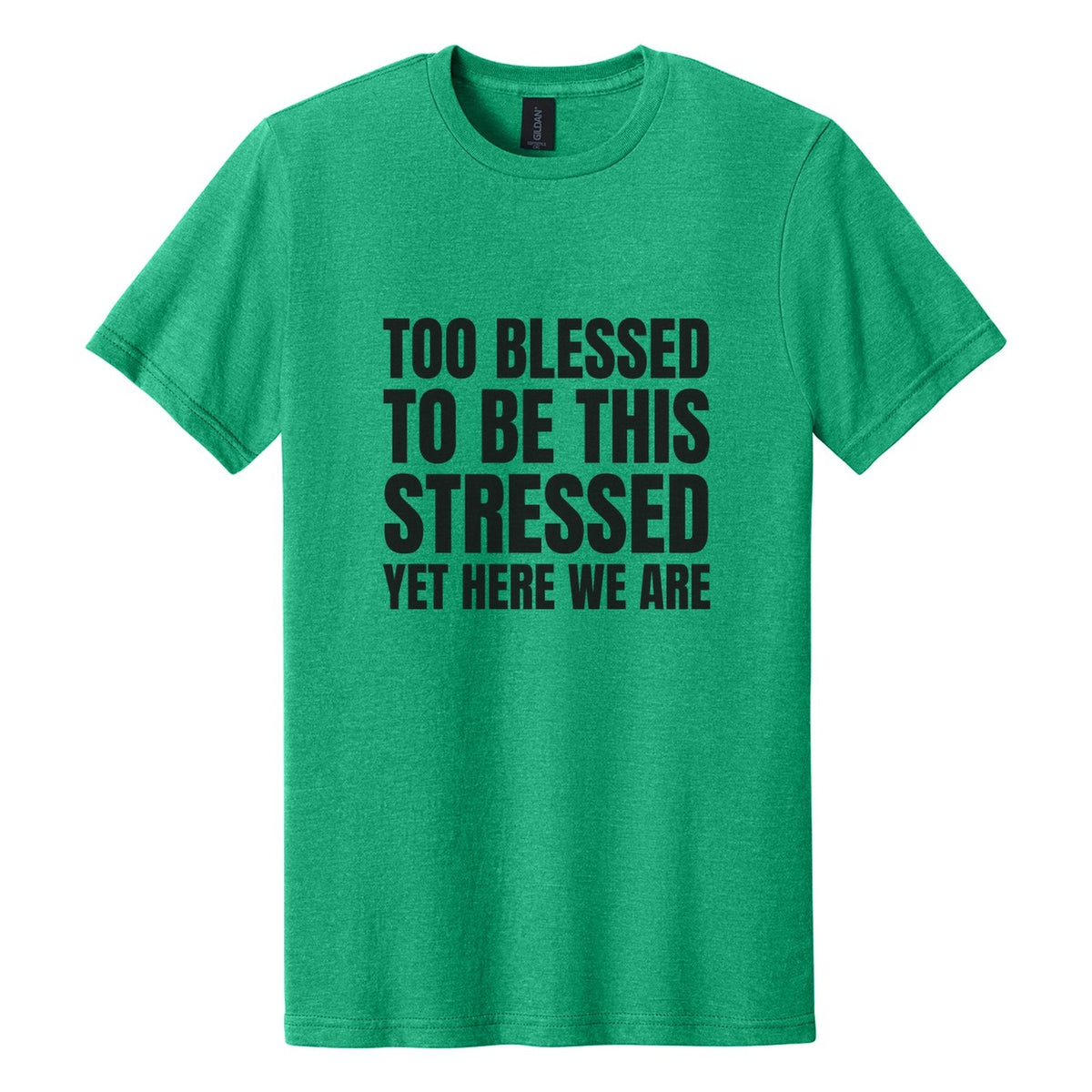 Too Blessed to Be This Stressed. Yet Here We Are tee in Kelly Mist, Anton font, Black ink