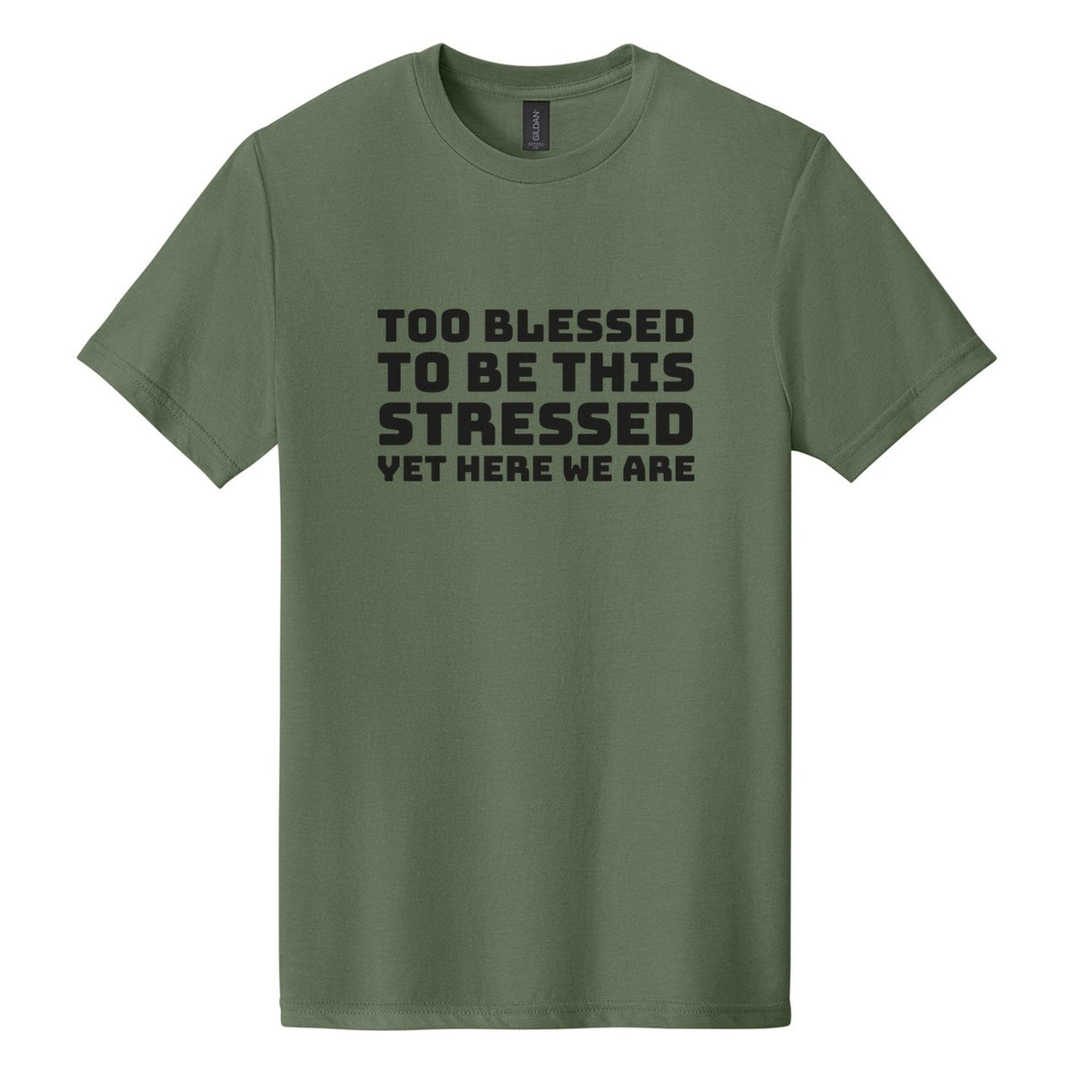 Too Blessed to Be This Stressed. Yet Here We Are tee in Cactus, Bungee font, Black ink