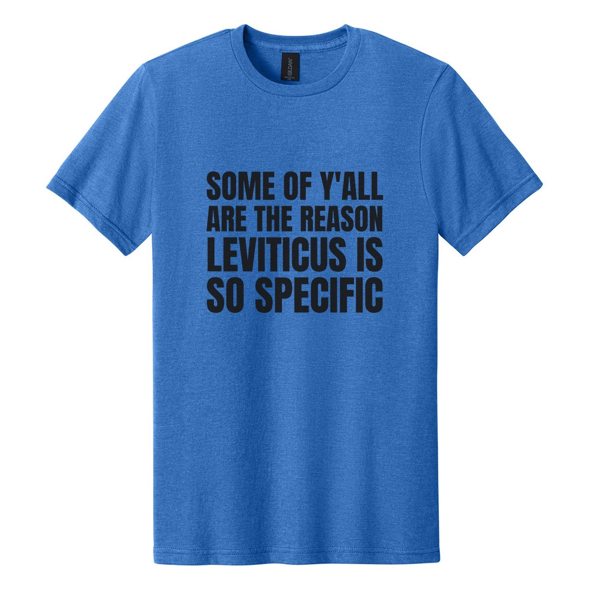 Some of Y'all Are the Reason Leviticus Is So Specific tee in Royal Mist, Anton font, Black ink