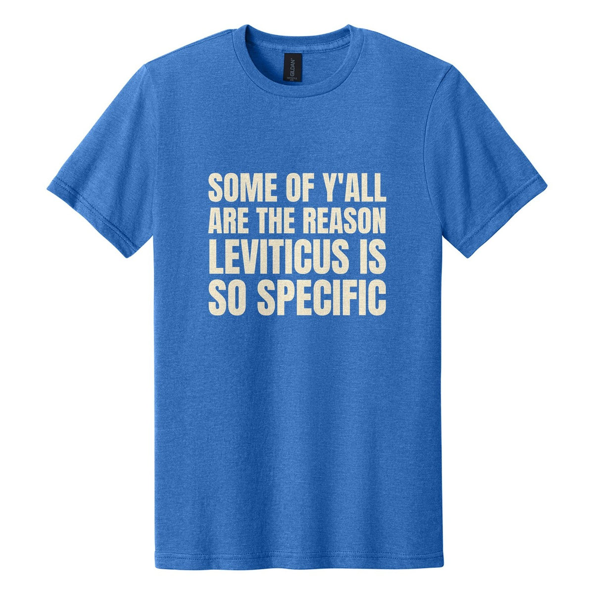 Some of Y'all Are the Reason Leviticus Is So Specific tee in Royal Mist, Anton font, Cream ink