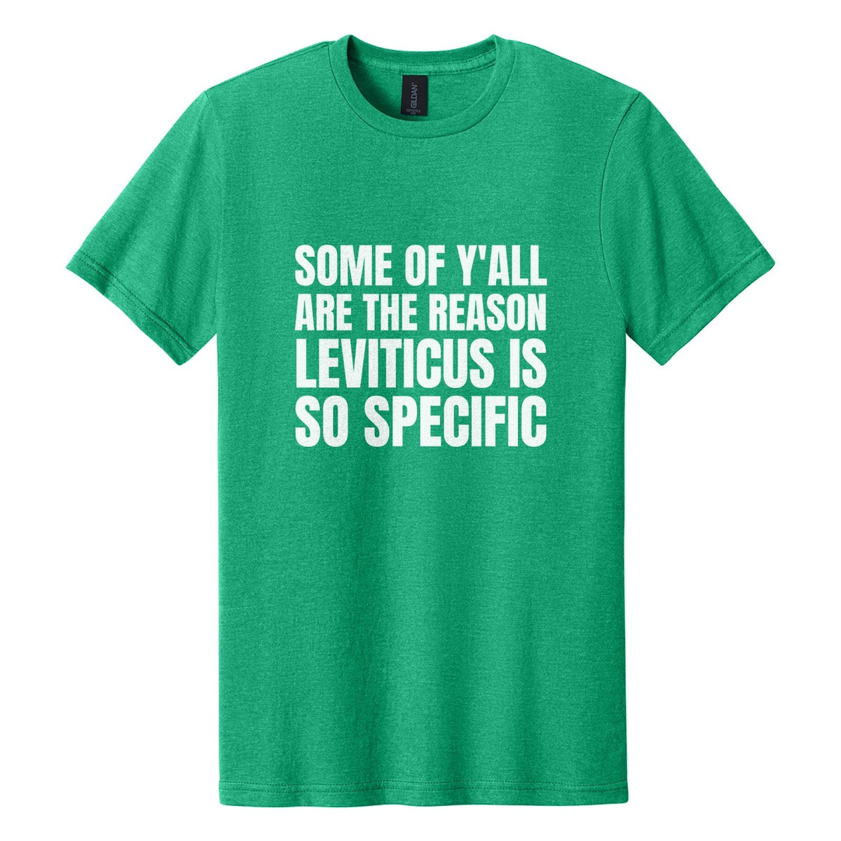 Some of Y'all Are the Reason Leviticus Is So Specific tee in Kelly Mist, Anton font, White ink