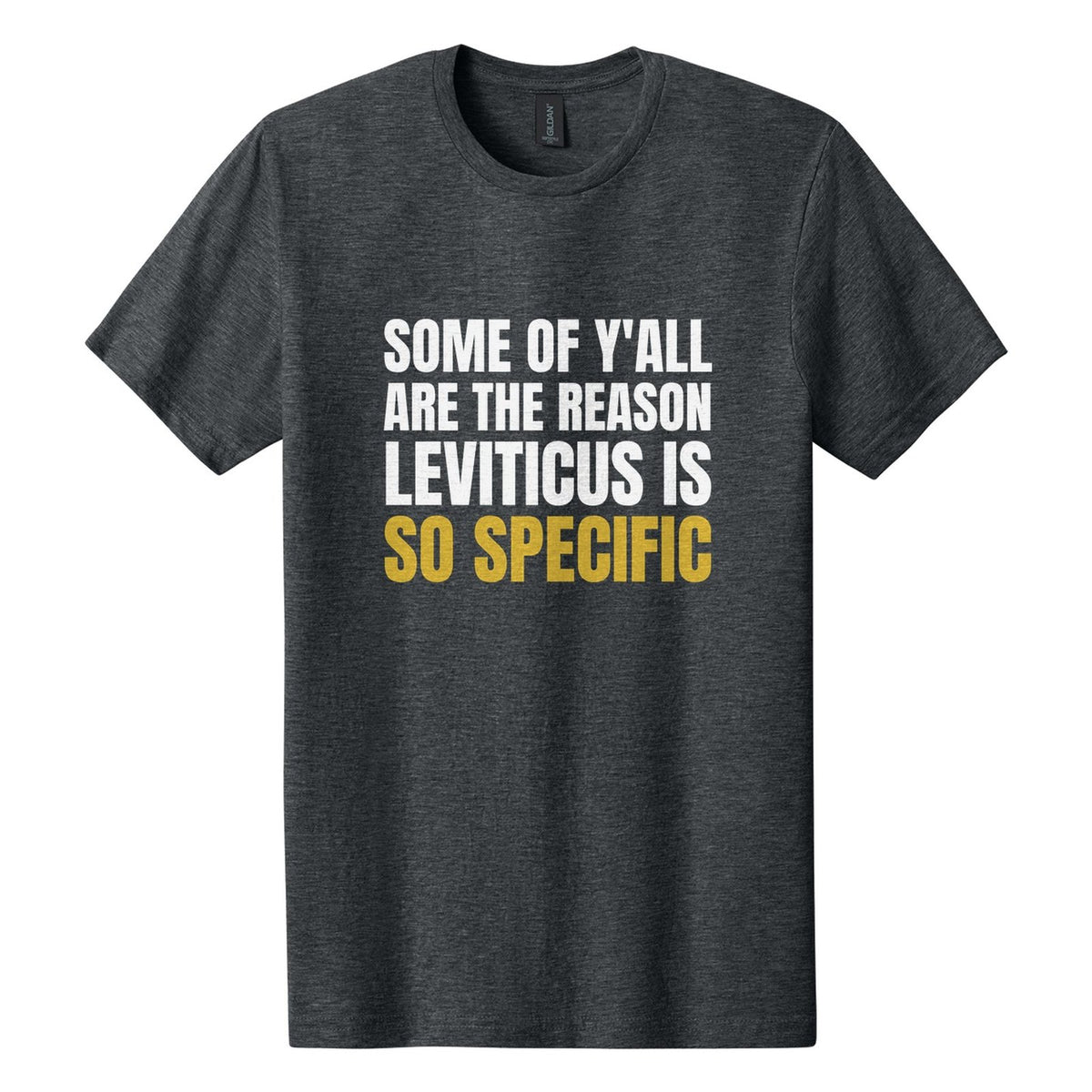 Some of Y'all Are the Reason Leviticus Is So Specific tee in Dark Heather, Anton font, White + Metallic Gold ink