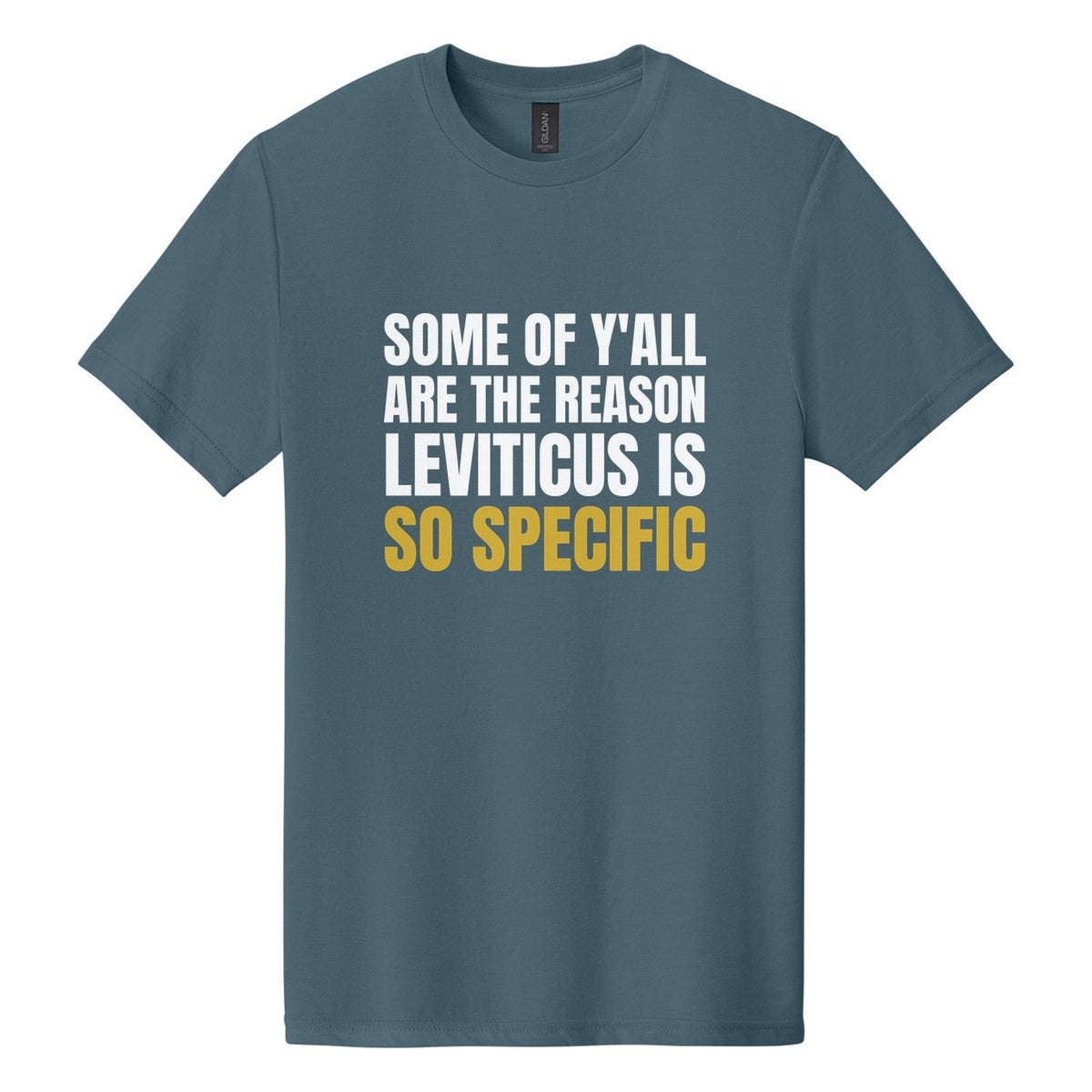 Some of Y'all Are the Reason Leviticus Is So Specific tee in Steel Blue, Anton font, White + Metallic Gold ink