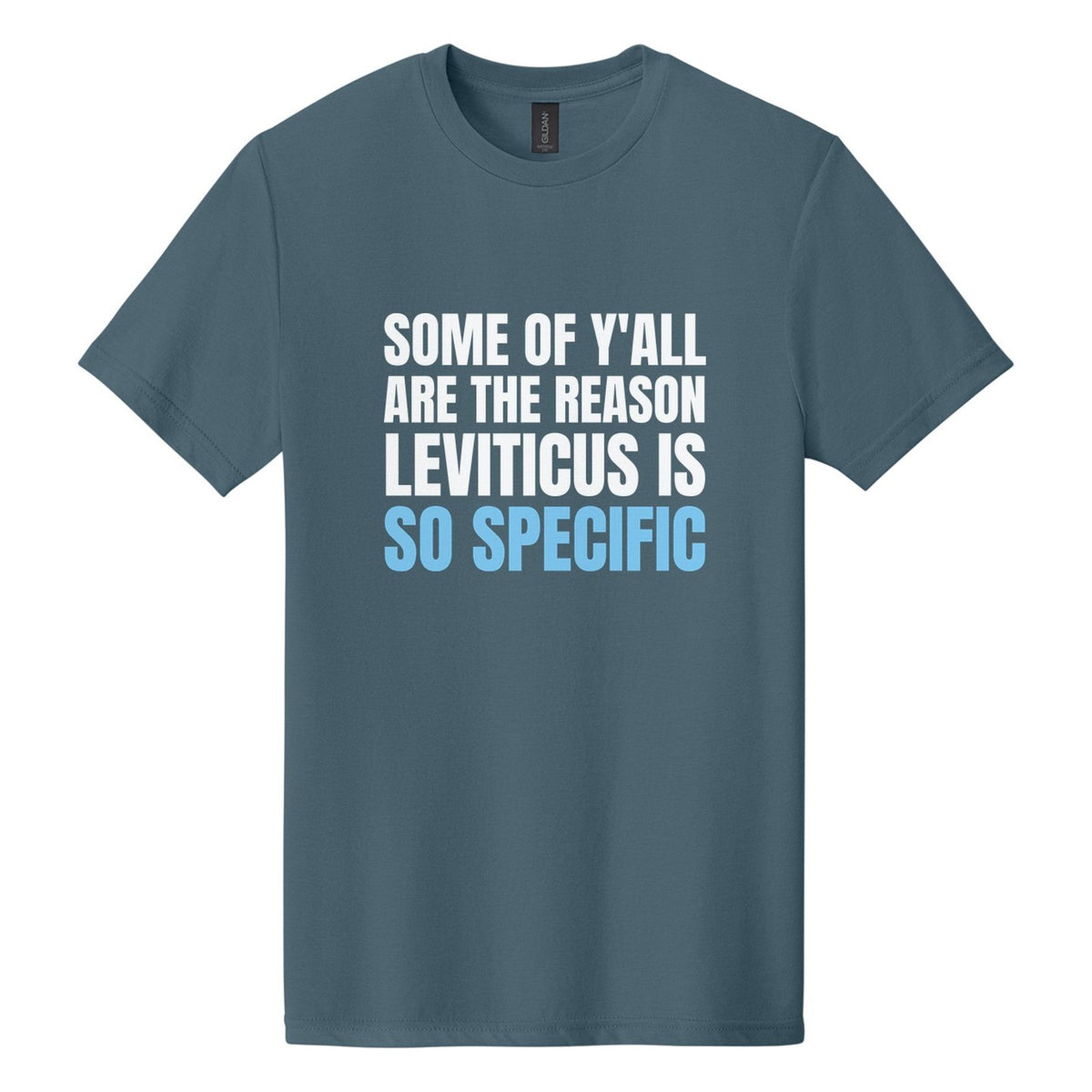 Some of Y'all Are the Reason Leviticus Is So Specific tee in Steel Blue, Anton font, White + Sky Blue ink