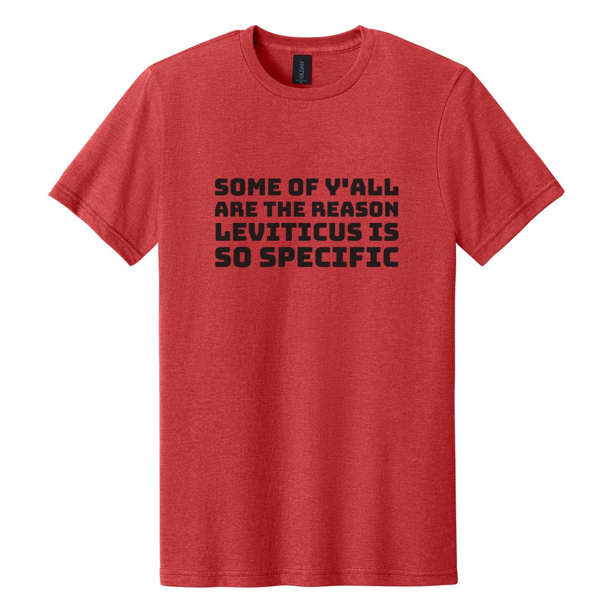 Some of Y'all Are the Reason Leviticus Is So Specific tee in Red Mist, Bungee font, Black ink