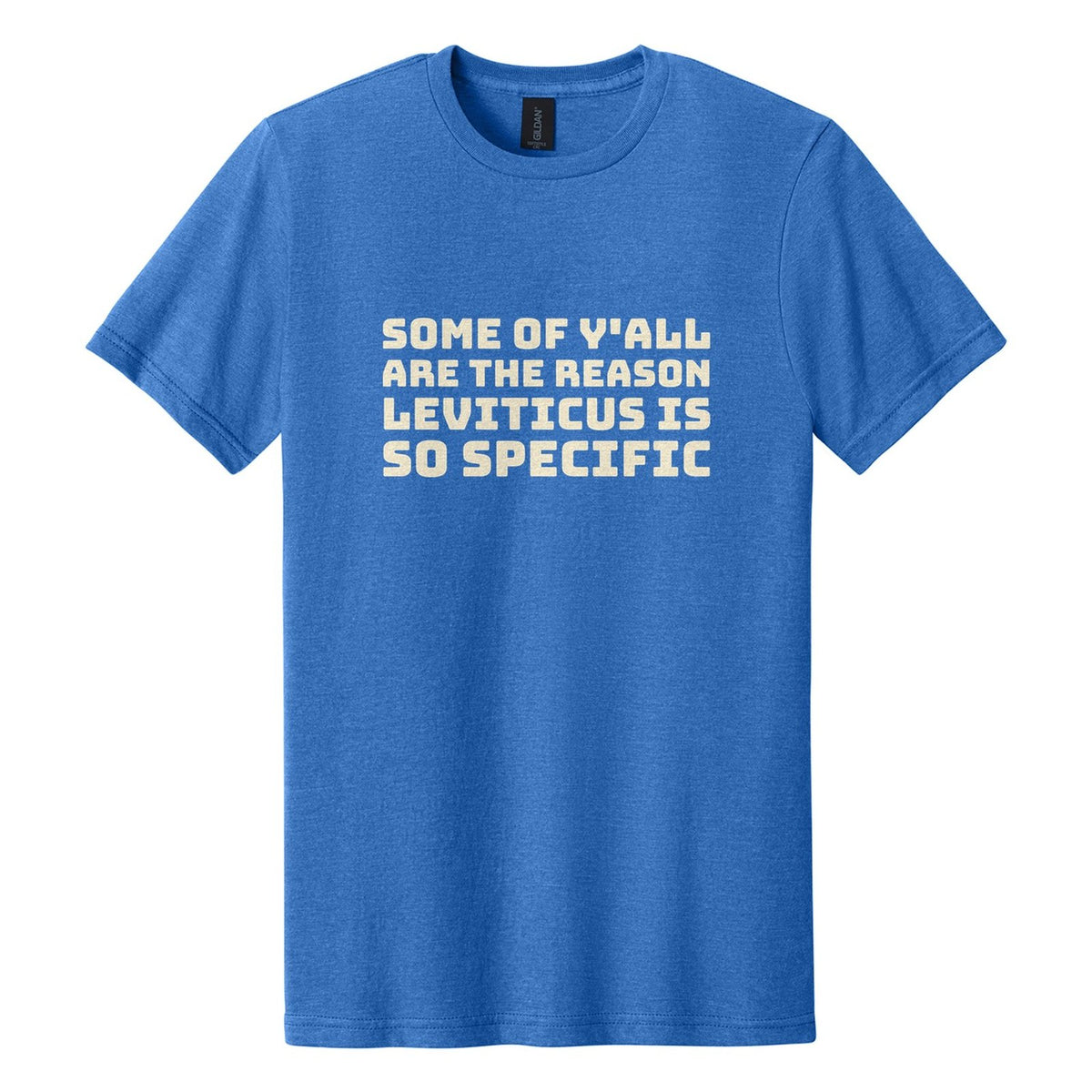 Some of Y'all Are the Reason Leviticus Is So Specific tee in Royal Mist, Bungee font, Cream ink