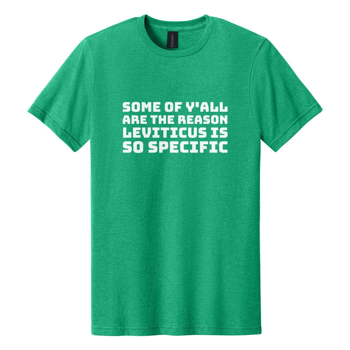Some of Y'all Are the Reason Leviticus Is So Specific tee in Kelly Mist, Bungee font, White ink