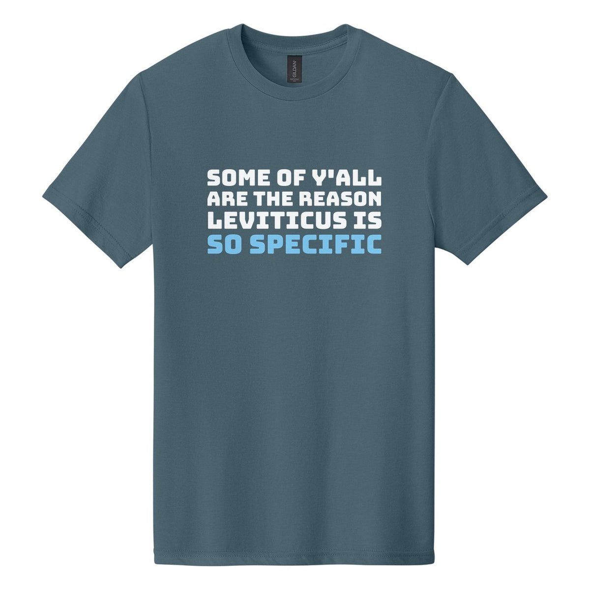 Some of Y'all Are the Reason Leviticus Is So Specific tee in Steel Blue, Bungee font, White + Sky Blue ink