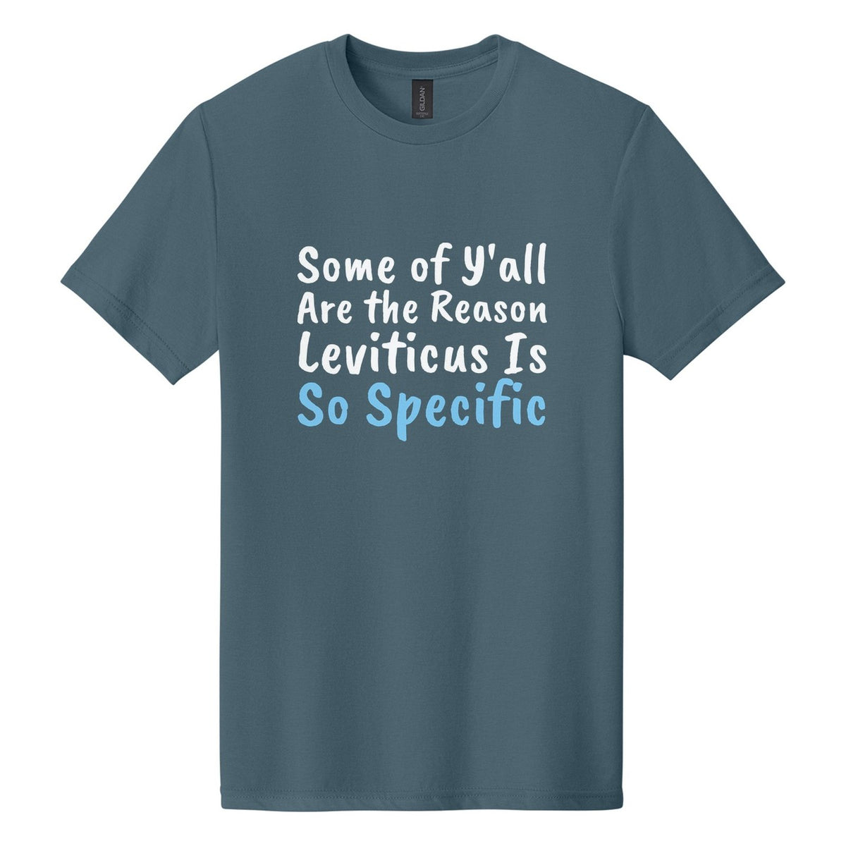 Some of Y'all Are the Reason Leviticus Is So Specific tee in Steel Blue, Caveat Brush font, White + Sky Blue ink