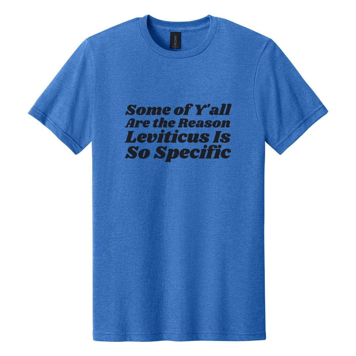 Some of Y'all Are the Reason Leviticus Is So Specific tee in Royal Mist, Shrikhand font, Black ink