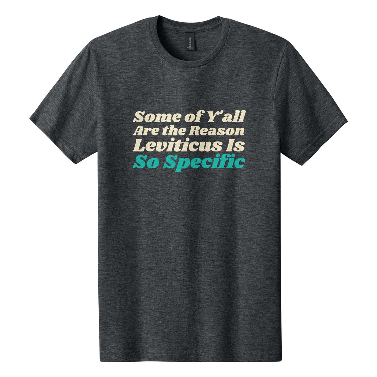 Some of Y'all Are the Reason Leviticus Is So Specific tee in Dark Heather, Shrikhand font, Cream + Teal ink