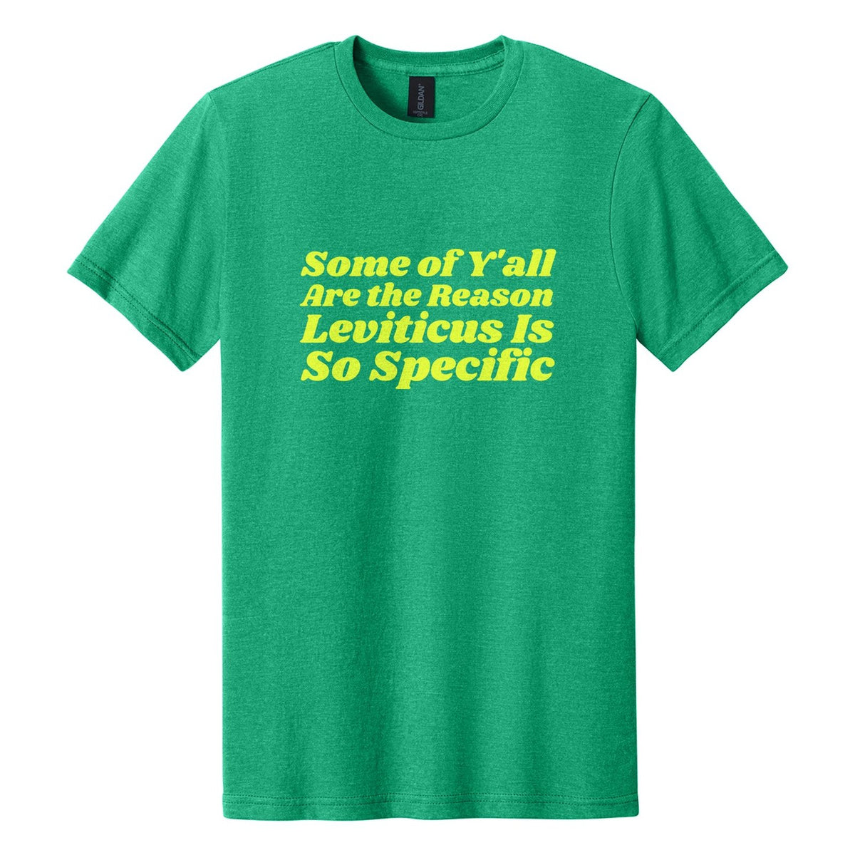 Some of Y'all Are the Reason Leviticus Is So Specific tee in Kelly Mist, Shrikhand font, Neon Yellow ink