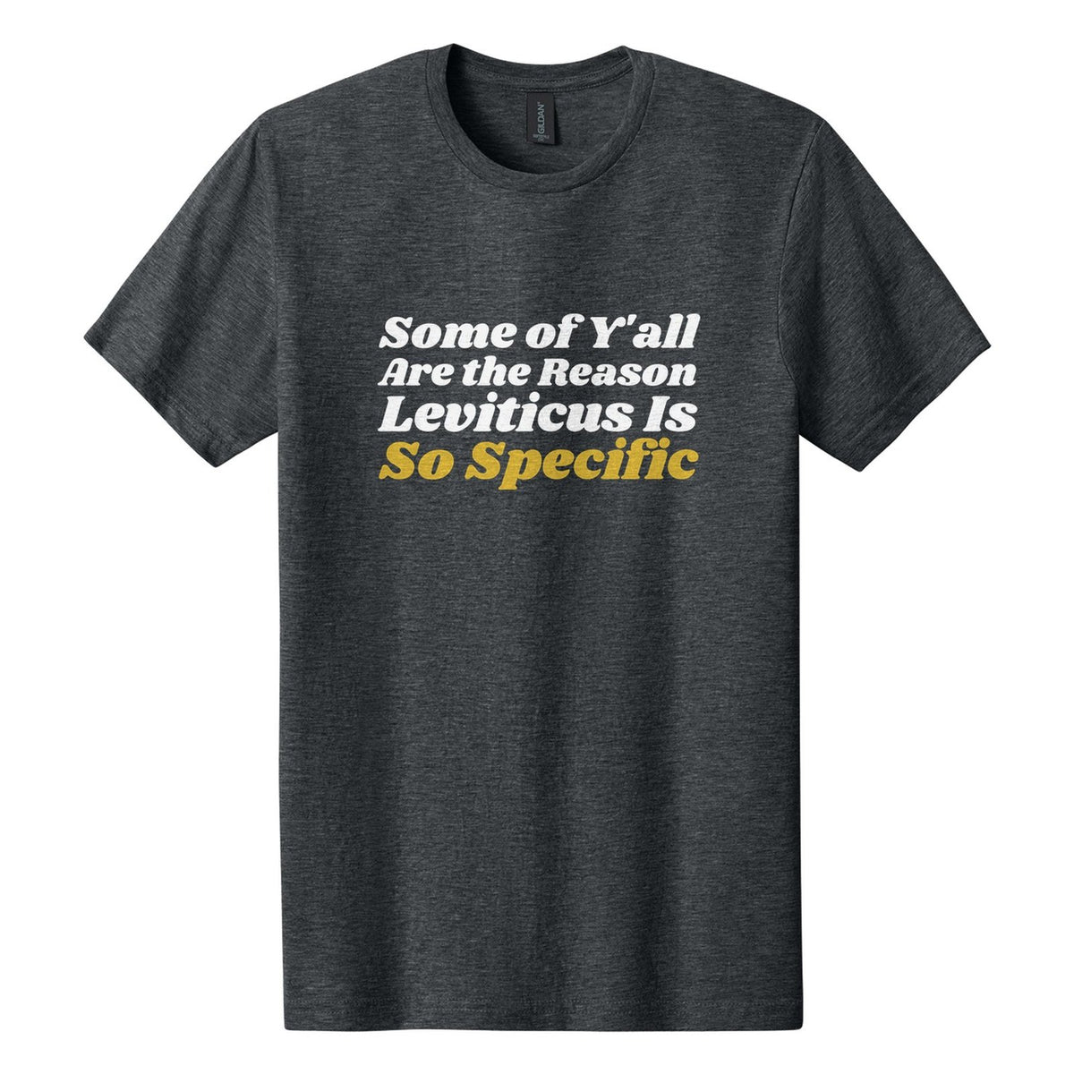 Some of Y'all Are the Reason Leviticus Is So Specific tee in Dark Heather, Shrikhand font, White + Metallic Gold ink