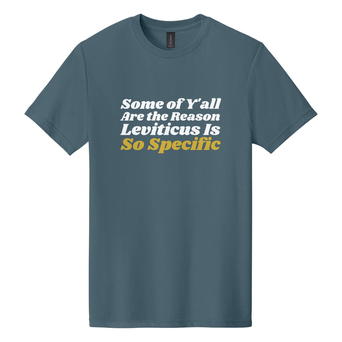 Some of Y'all Are the Reason Leviticus Is So Specific tee in Steel Blue, Shrikhand font, White + Metallic Gold ink