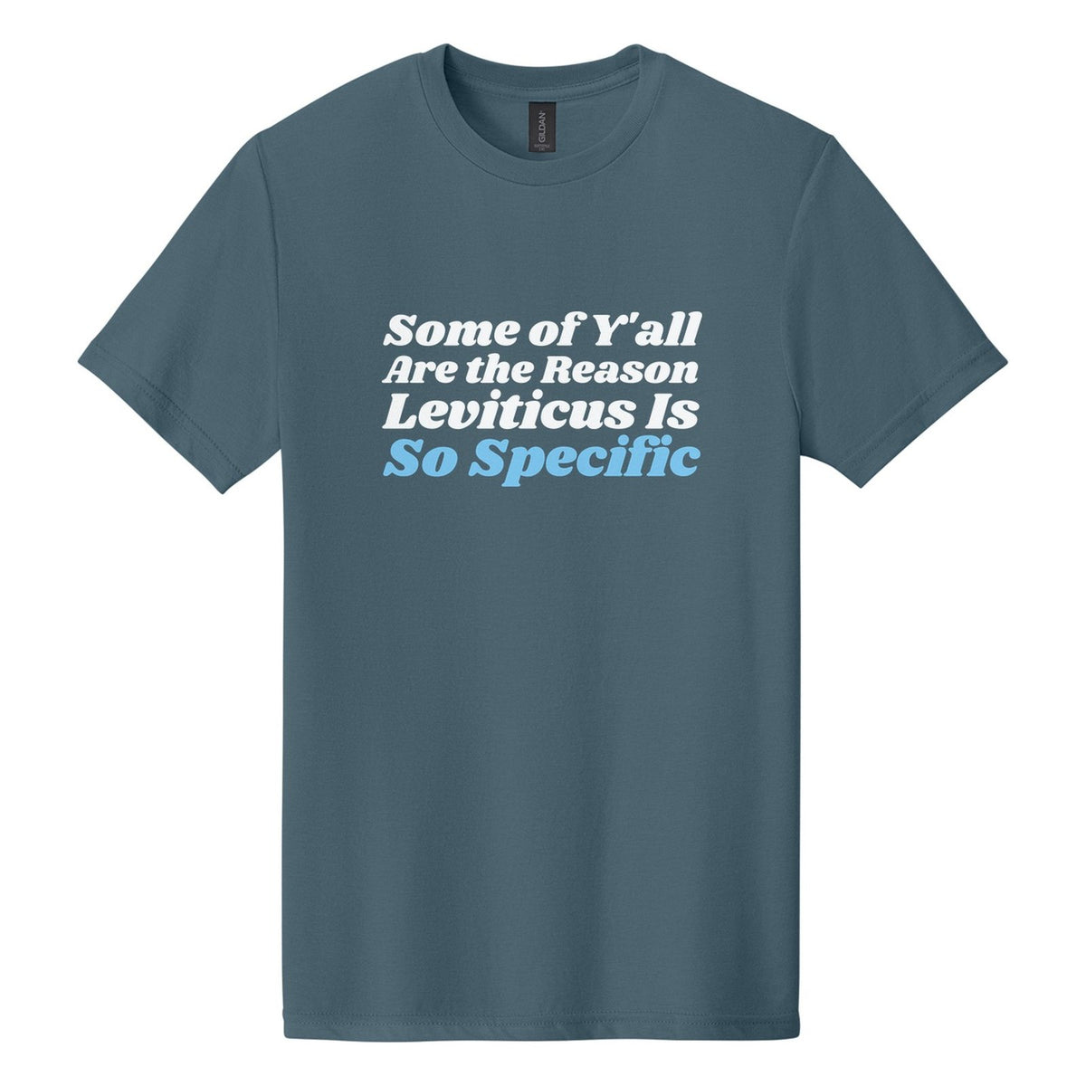 Some of Y'all Are the Reason Leviticus Is So Specific tee in Steel Blue, Shrikhand font, White + Sky Blue ink