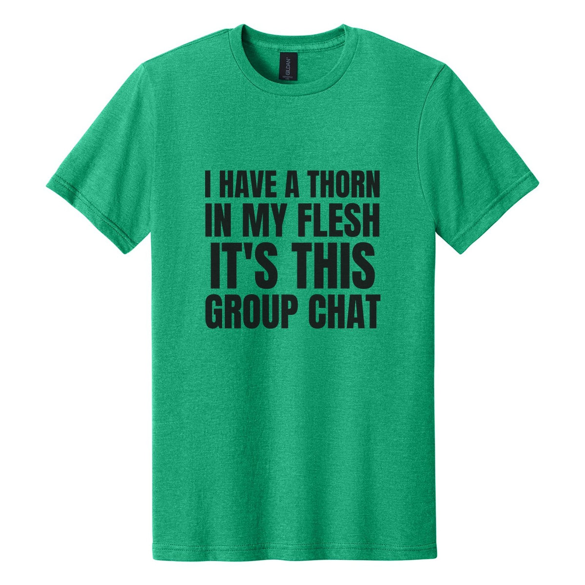 I Have a Thorn in My Flesh. It's This Group Chat tee in Kelly Mist, Anton font, Black ink
