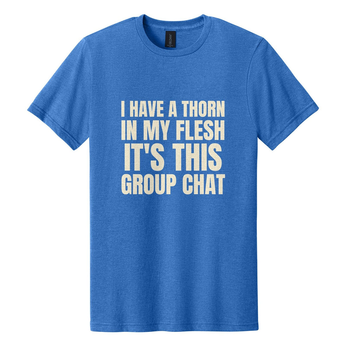 I Have a Thorn in My Flesh. It's This Group Chat tee in Royal Mist, Anton font, Cream ink