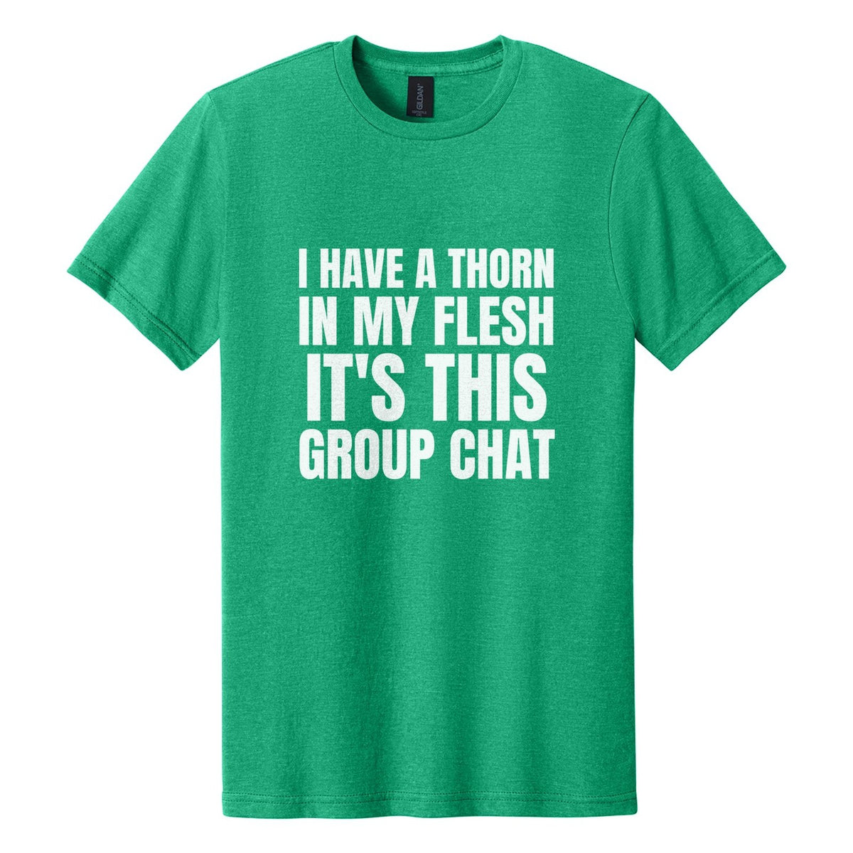 I Have a Thorn in My Flesh. It's This Group Chat tee in Kelly Mist, Anton font, White ink