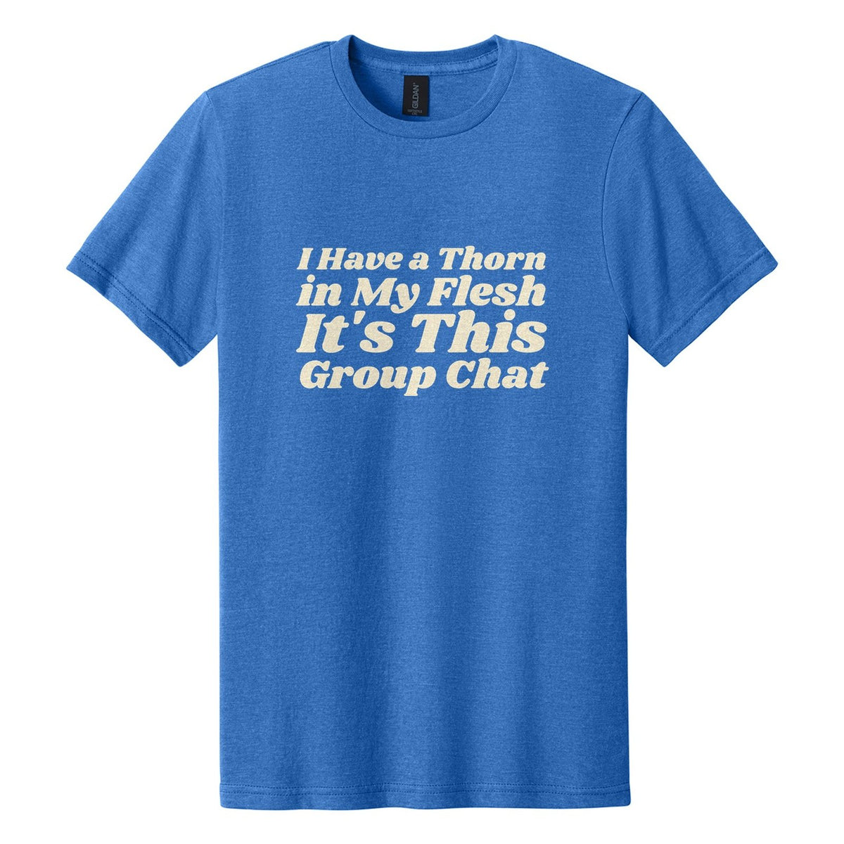 I Have a Thorn in My Flesh. It's This Group Chat tee in Royal Mist, Shrikhand font, Cream ink