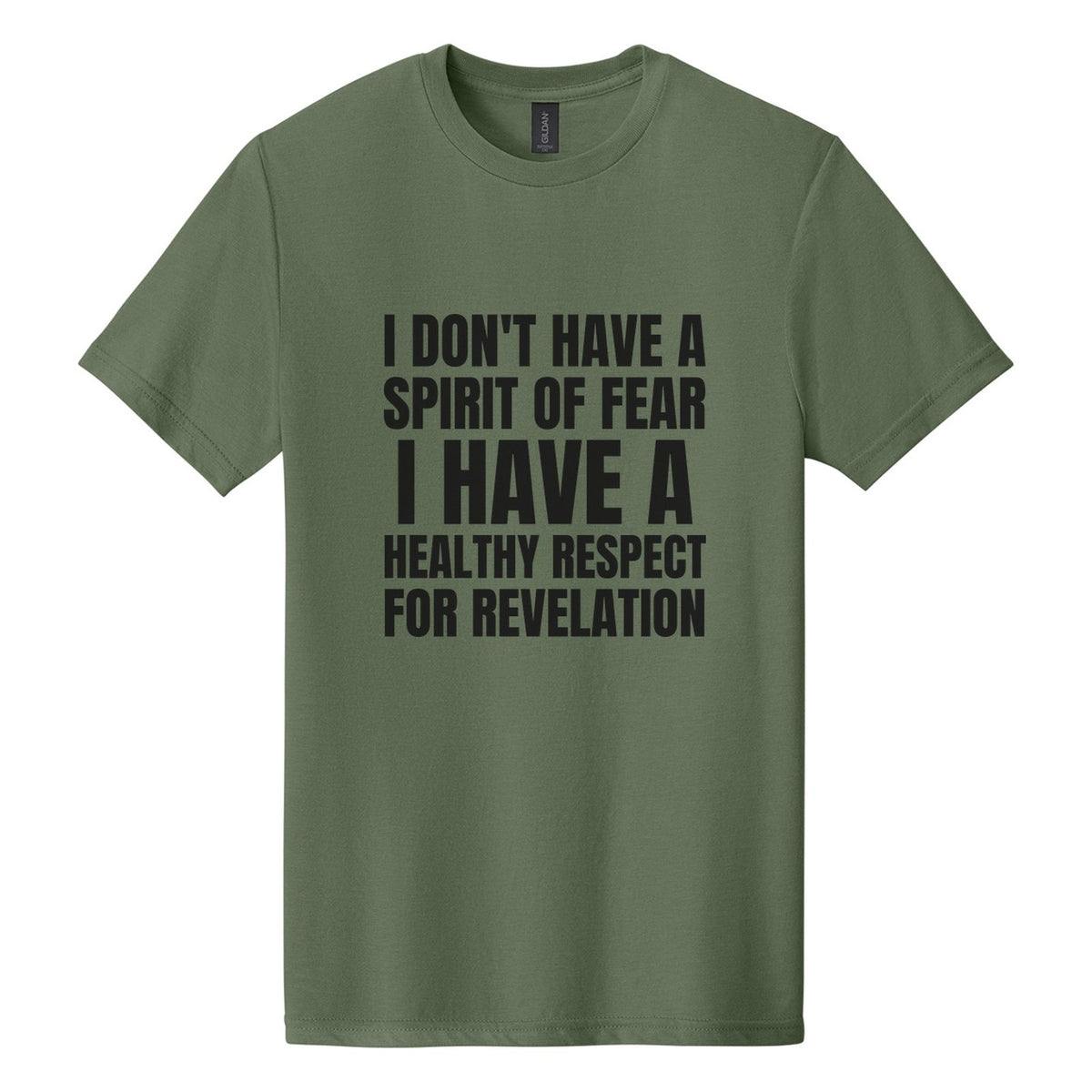 I Don't Have a Spirit of Fear. I Have a Healthy Respect for Revelation tee in Cactus, Anton font, Black ink