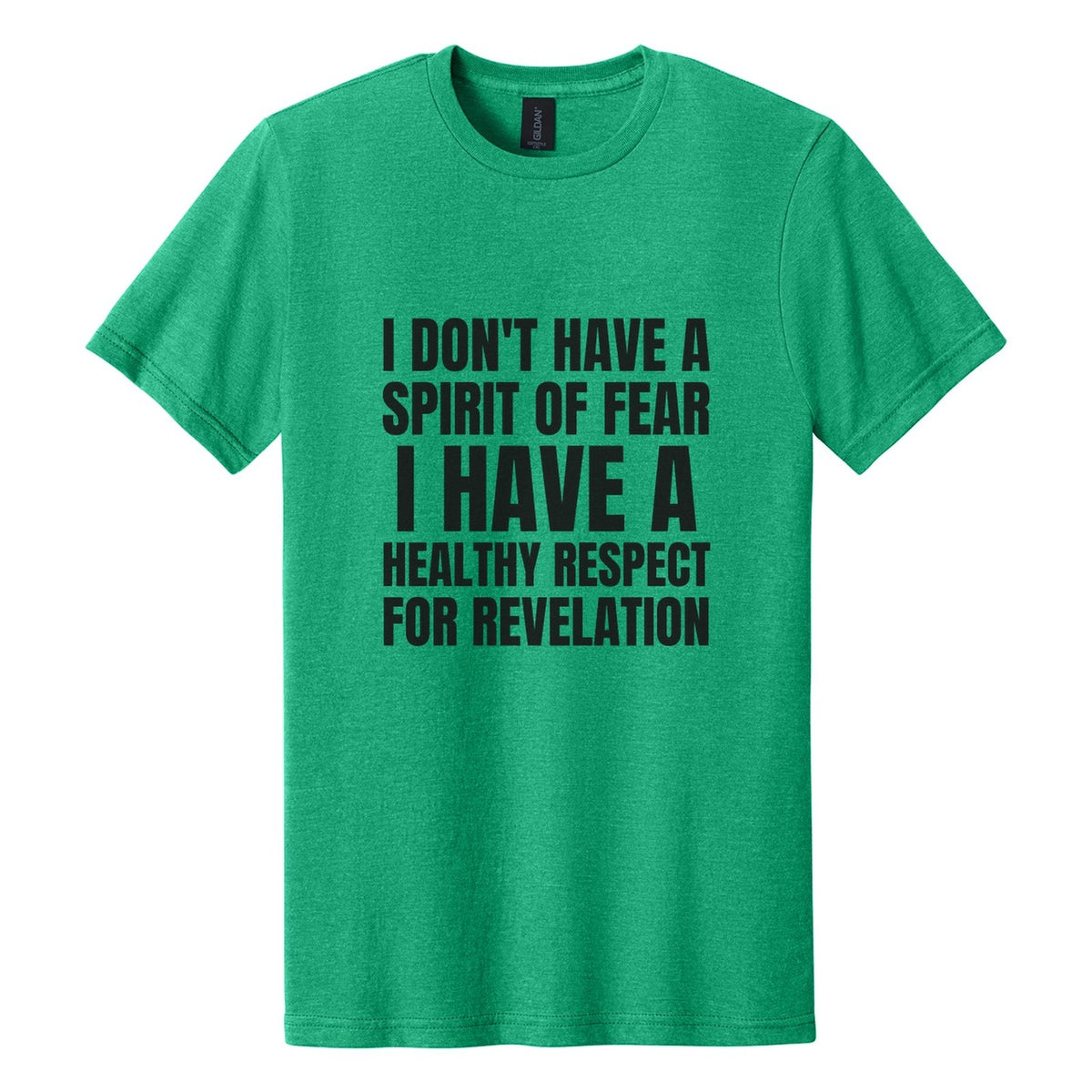 I Don't Have a Spirit of Fear. I Have a Healthy Respect for Revelation tee in Kelly Mist, Anton font, Black ink