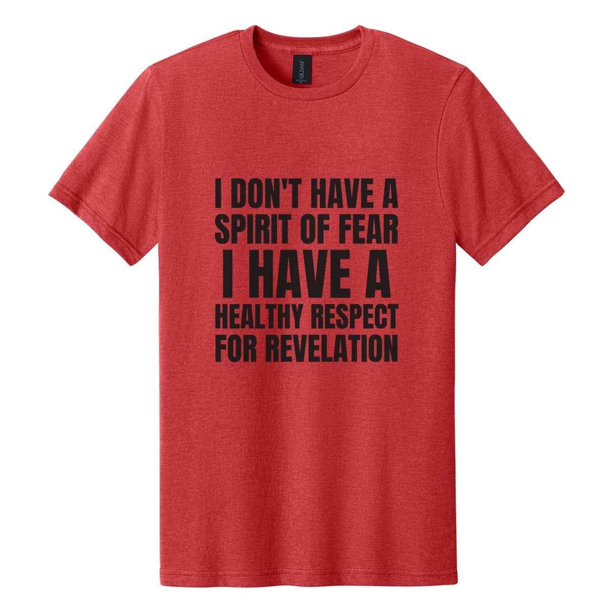 I Don't Have a Spirit of Fear. I Have a Healthy Respect for Revelation tee in Red Mist, Anton font, Black ink