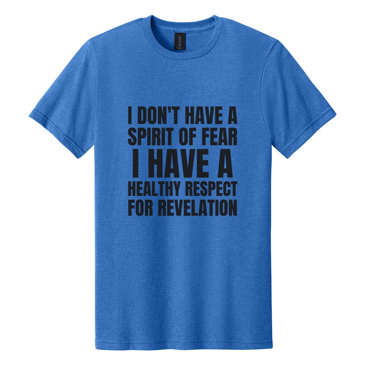 I Don't Have a Spirit of Fear. I Have a Healthy Respect for Revelation tee in Royal Mist, Anton font, Black ink
