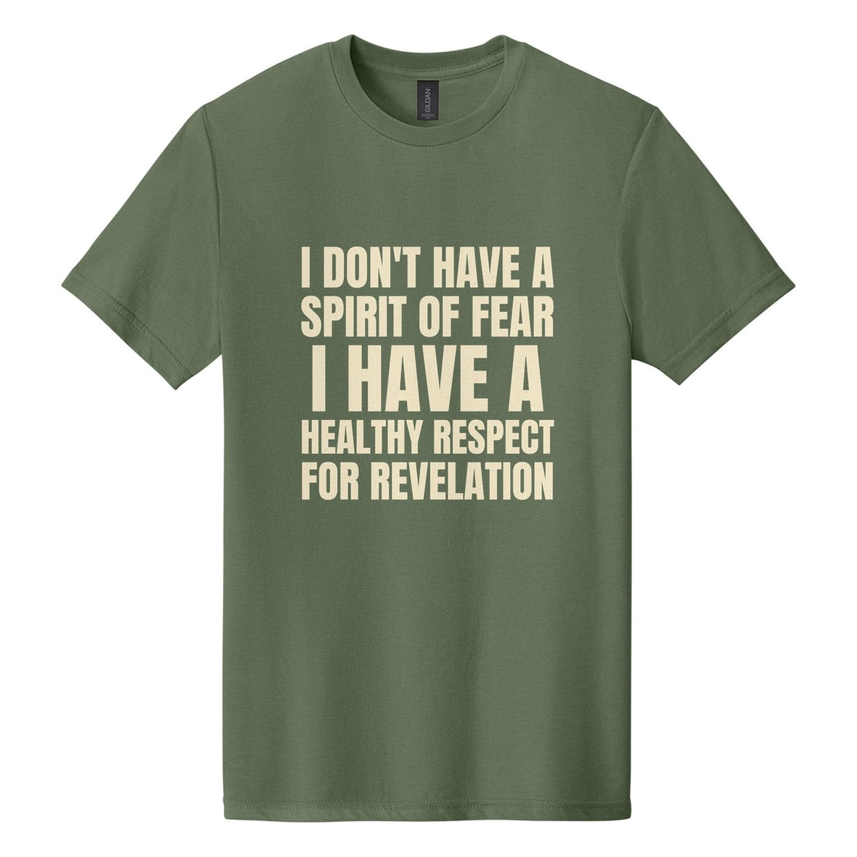 I Don't Have a Spirit of Fear. I Have a Healthy Respect for Revelation tee in Cactus, Anton font, Cream ink